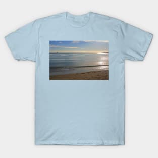 Ship Ahoy, January 2021 T-Shirt
